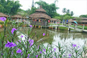 7 Days: New Black Bangkok Chiangmai Pai
