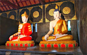 7 Days: New Black Bangkok Chiangmai Pai