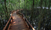 Thailand Rajaampat 3Days 2Nights