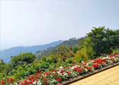 Hills Tour, 4 Mountains