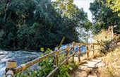 Pha Dok Siew Nature Trail