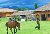 Magic Town in nature. - Pai District