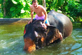 Elephant and hill day trip