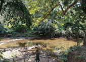 The Forest Breath: 2 Days 1 Nights, Jungle experience