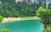 The Forest Breath: 2 Days 1 Nights, Jungle experience