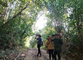 The Forest Breath: 2 Days 1 Nights, Jungle experience