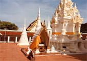 One Day : Suratthani Concerning
