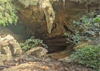 Trip From Khao-Sok only: Day Trip Chiew Lan Lake