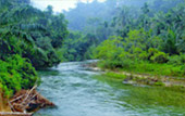 Khao Sok, Khao Lak one day from Phuket
