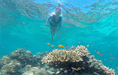Longtail Boat Charter: Koh Lanta
