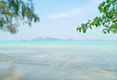 Longtail Boat Charter: Koh Lanta