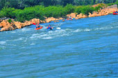 The Kayaking: Day Trip