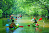 The Kayaking: Day Trip