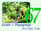 Krabi and Phangnga Eco Day Trip