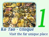 Ko Tao - Unique