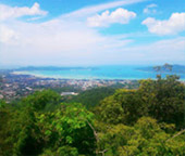 Full Day Phuket Pearl Farm and Temples