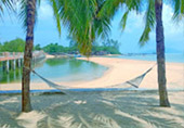 Explore: Island, Bay and Mountain