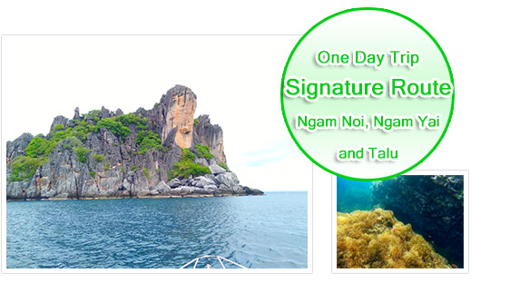 One Day Signature Route