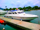 PP Maithon Island