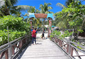 Adventure Cruise. 10 Days 9 Nights