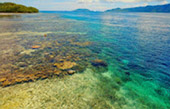 Adventure Cruise. 10 Days 9 Nights