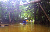 Phuket Safari Concern by JC Tour