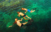 3 Days - Perfect Island