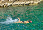 Koh Tao and Koh Phangan