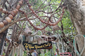 Koh Tao and Koh Phangan