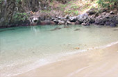 Koh Lanta-Unique