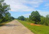 One Day: Yao Yai Island(Higher Class)